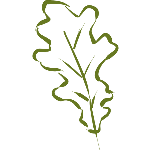Oak Leaf Hand-Drawn Clipart