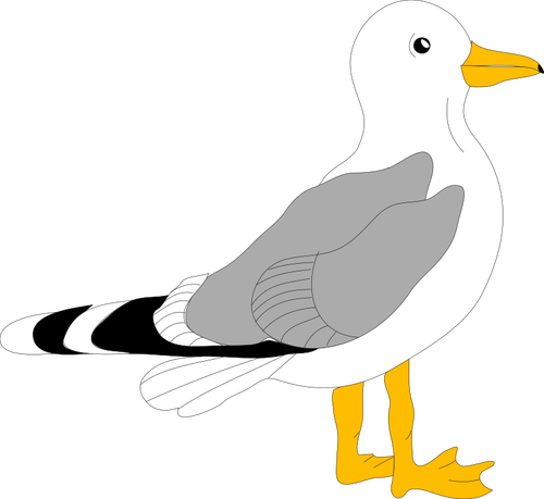 Drawing Of Gull With Grey Feathers Clipart