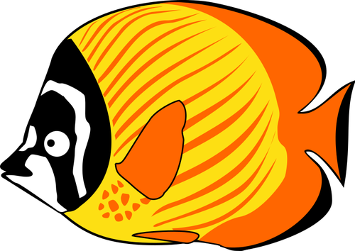 Butterflyfish Comic Drawing Clipart