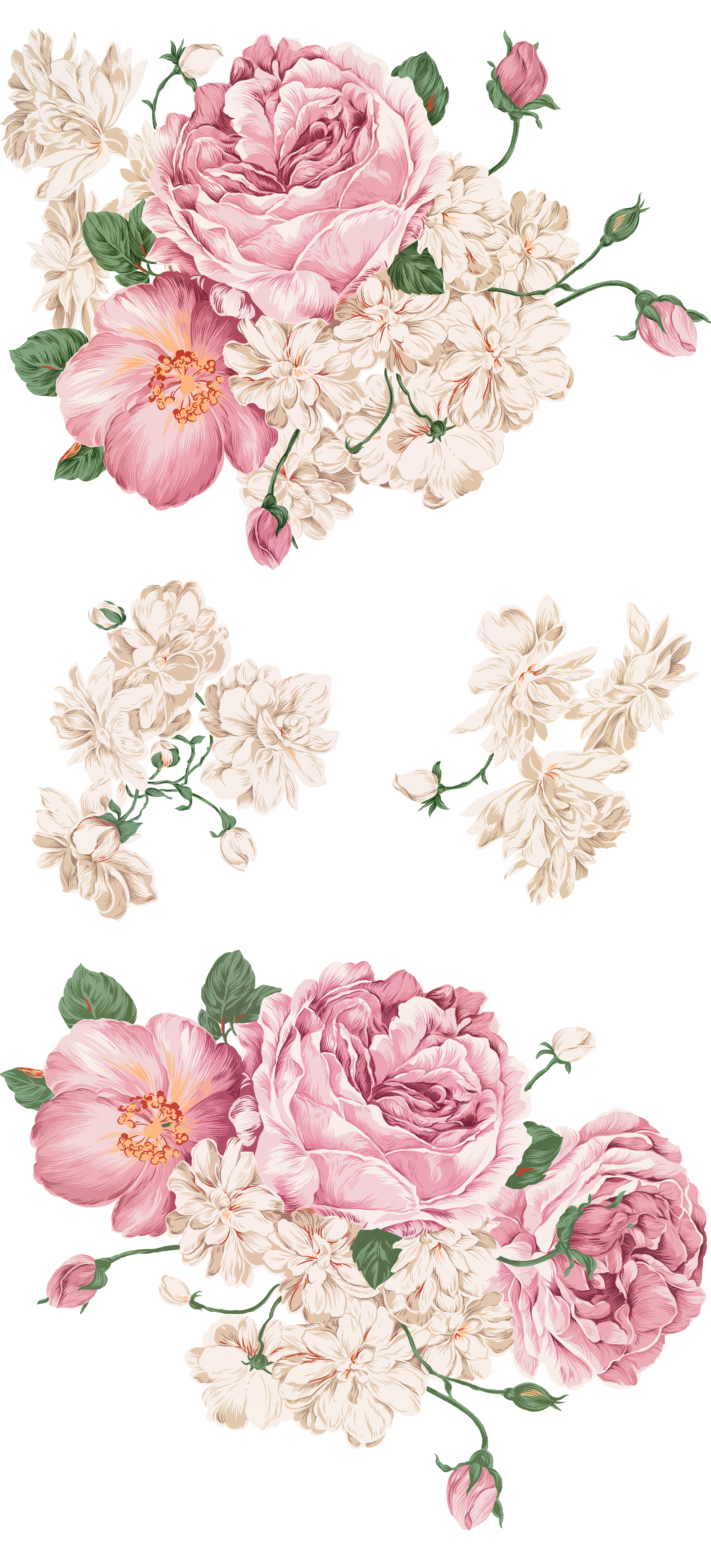 Painting Drawing Peony Hand-Painted Free Download PNG HQ Clipart