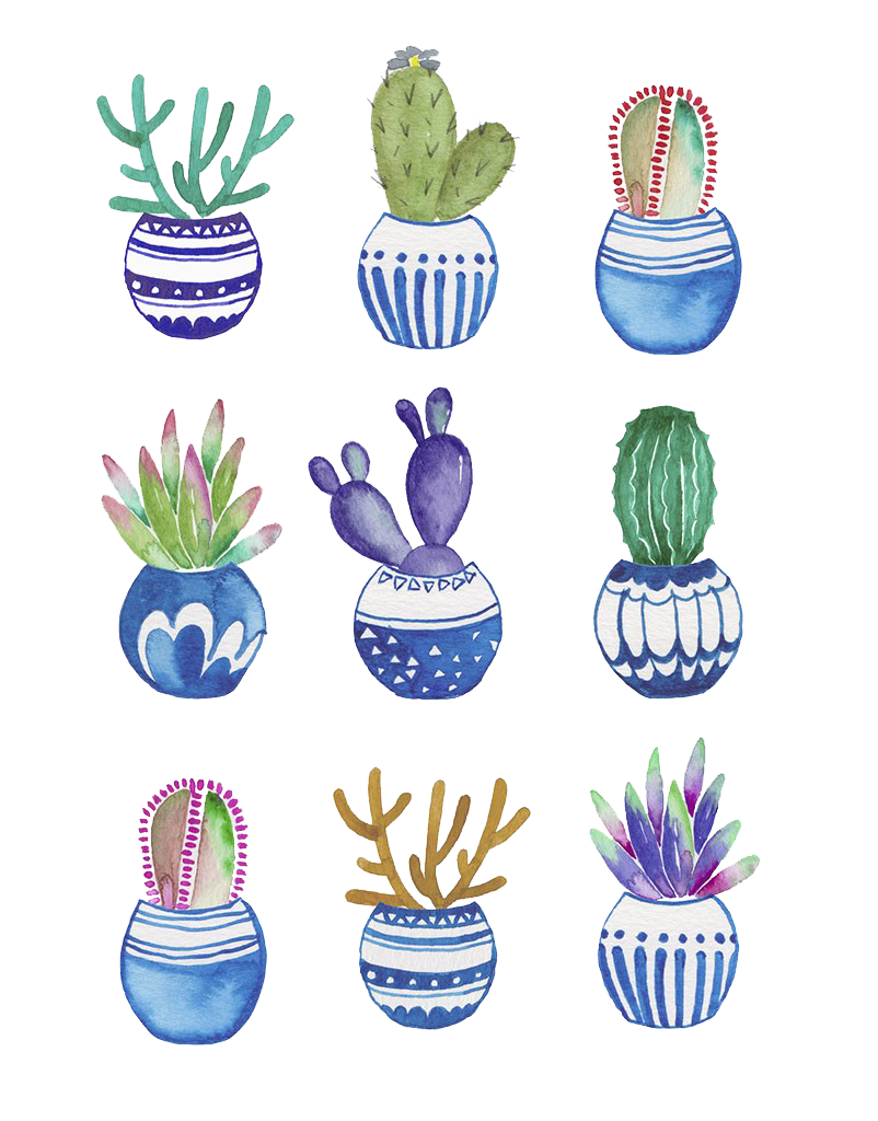 Flowerpot Drawing Watercolor Potted Cactus Painting Cactaceae Clipart