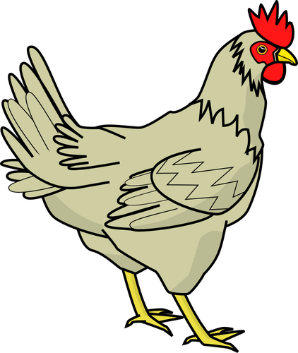 Drawing Of Poultry Bird Clipart