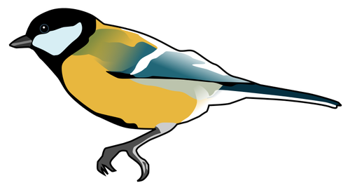 Great Tit Bird Drawing Clipart