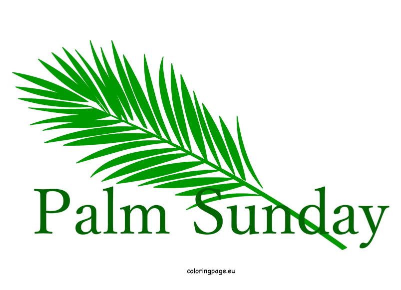 Easter Palm Sunday Coloring Page Image Png Clipart