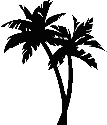 Palm Tree 2 Image Hd Image Clipart