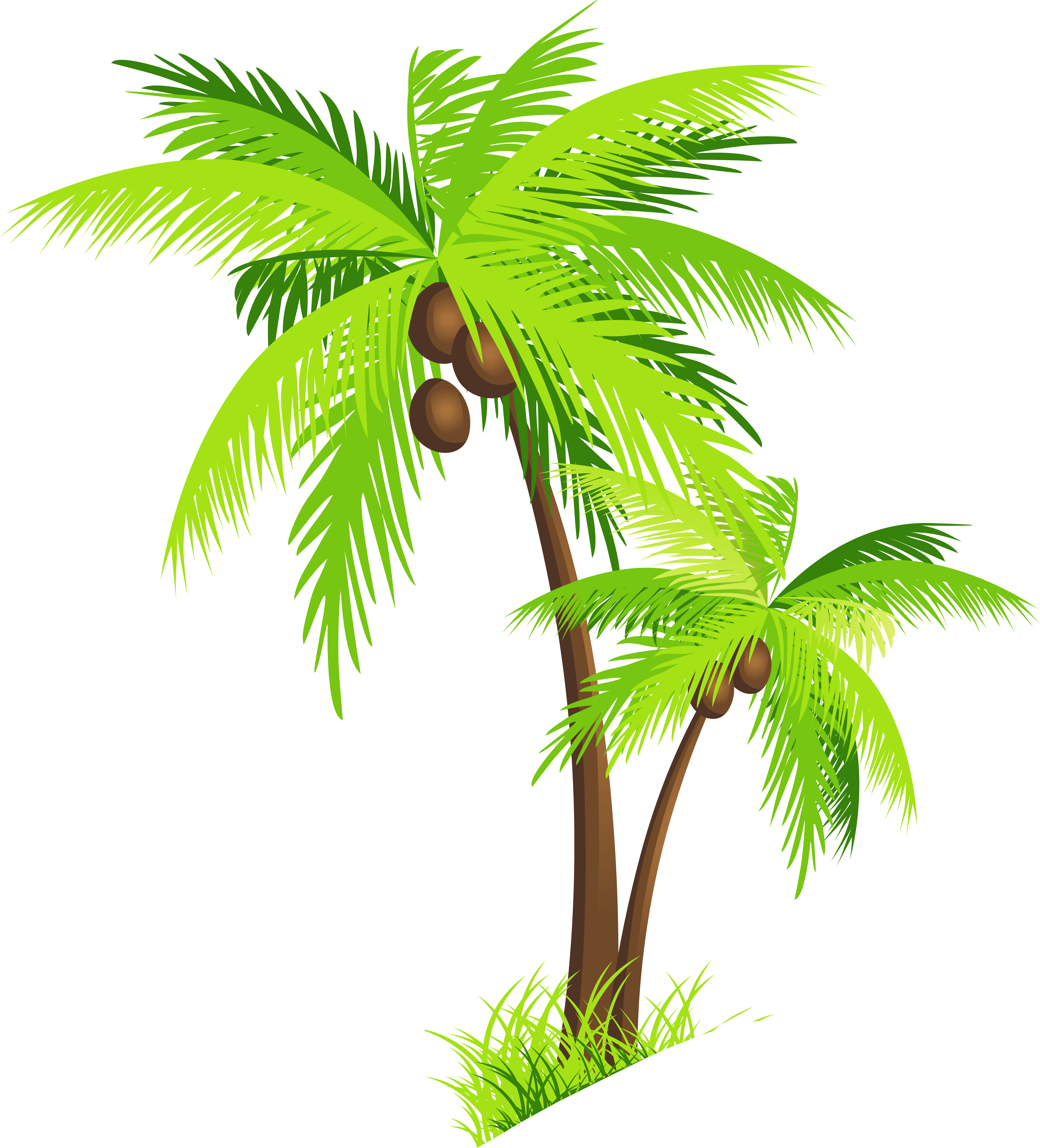 Palm Tree Beach Images Png Image Clipart