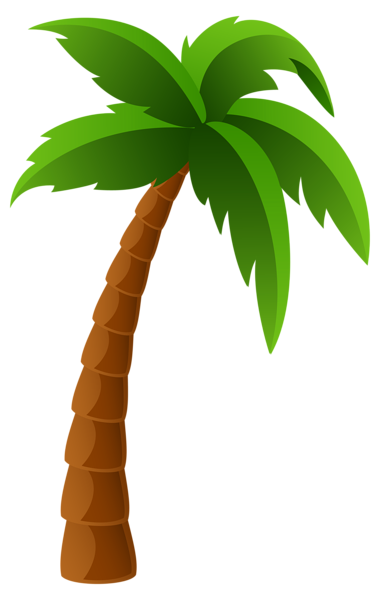 Palm Tree Gallery Trees Hd Image Clipart