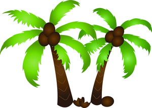 Palm Tree Images Transparent Image Clipart