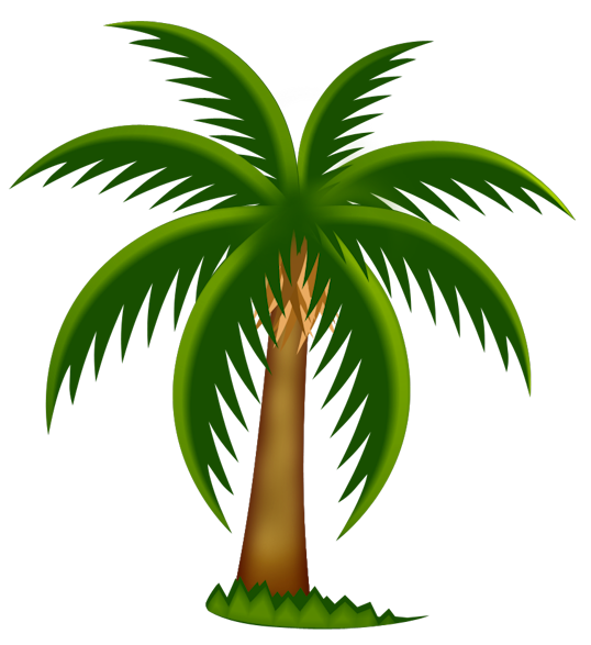 Palm Tree Images Clipart Clipart