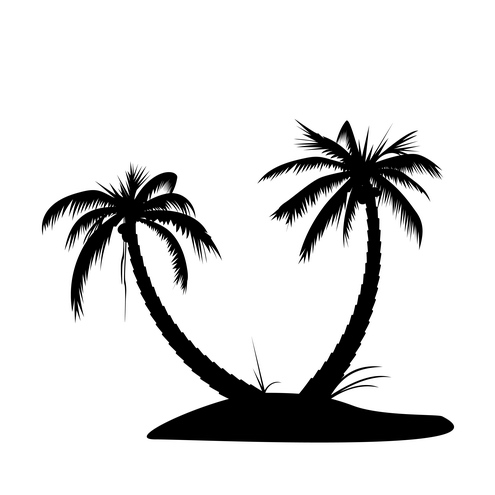 Palm Tree Silhouette Images Download Png Clipart