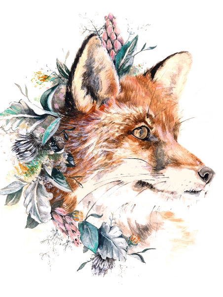 Tattoo Gray Fox Paper Wolf Red Clipart