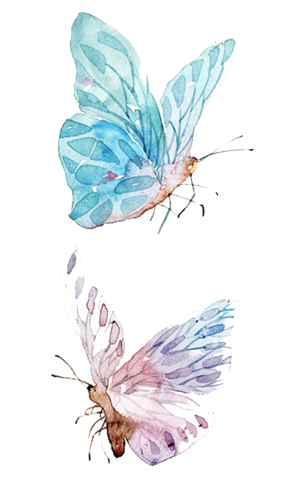 Watercolor Butterfly Paper Painting Drawing Free PNG HQ Clipart