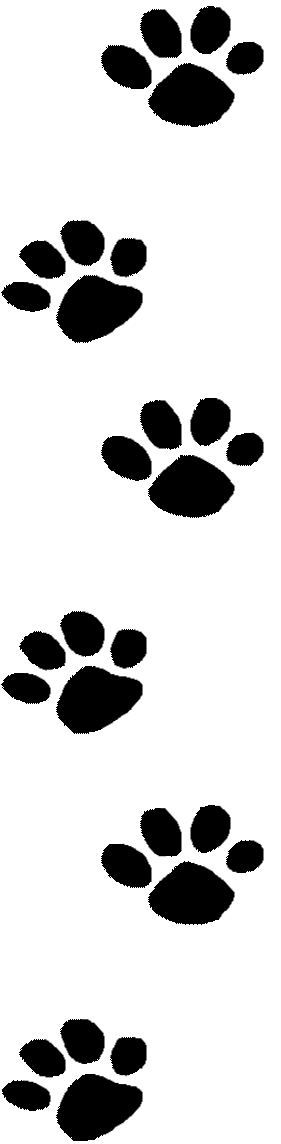 Paw Print Wildcat Paw Kid Png Images Clipart