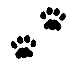 Paw Print Gif Png – Are you searching for paw prints png images or vector?