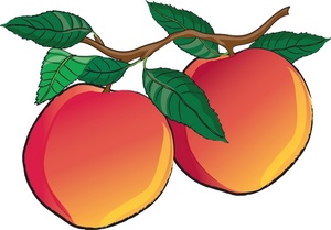 Peach Kid Png Image Clipart