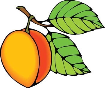 Peach Images Fruit Image Png Clipart
