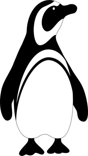 Penguin Bird Clipart