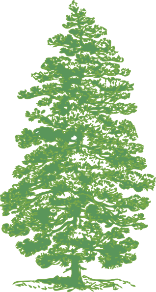 Green Pine Tree At Clker Vector Clipart