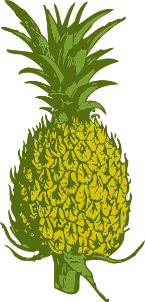 Pineapple Vector 4Vector Free Download Png Clipart