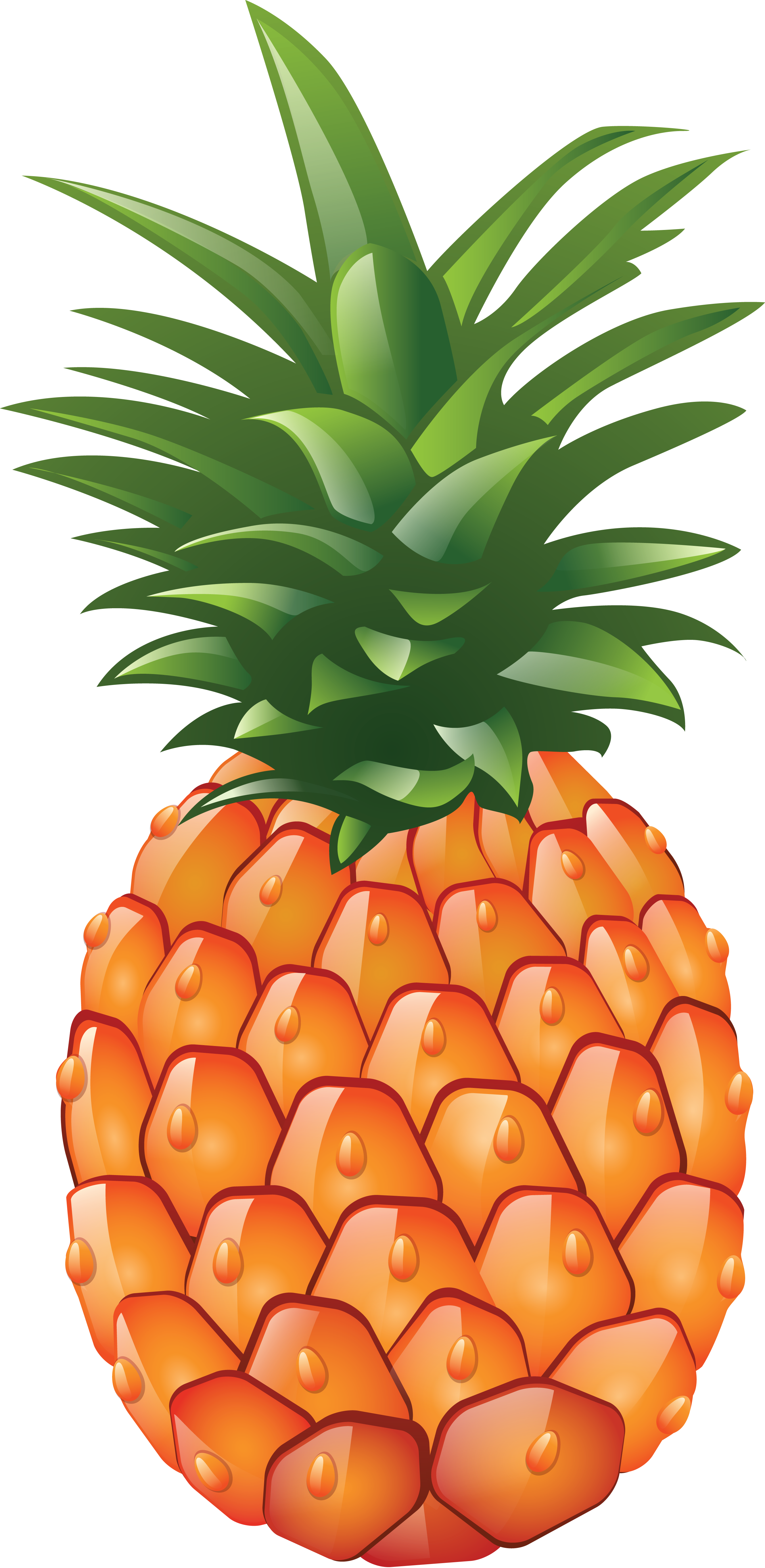 Pineapple Images Pictures Download Clipart Clipart