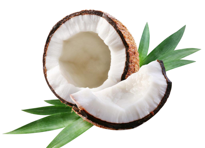 Coconut Oil Tigela Na Axe7Axed Water Milk Clipart