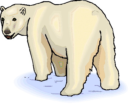 Art Polar Bear Kid Transparent Image Clipart