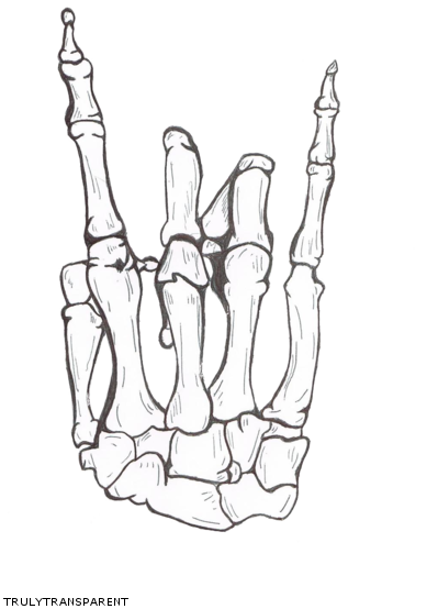 Praying Skeleton Drawing Human Hands Free HD Image Clipart