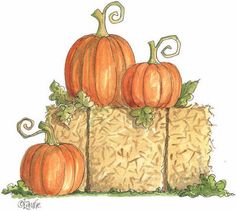 Pumpkin Patch Halloween Pumpkins Corn Stalks And Clipart