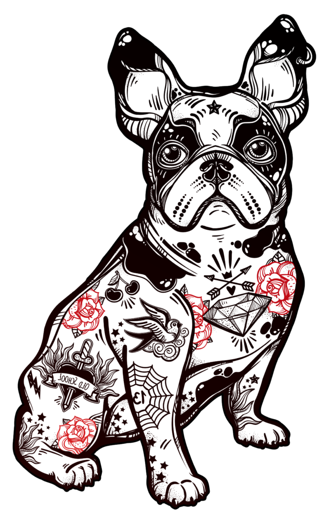 Pug Bully Bulldog Breed Dog French American Clipart