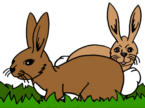 Rabbit Cute Images Png Image Clipart