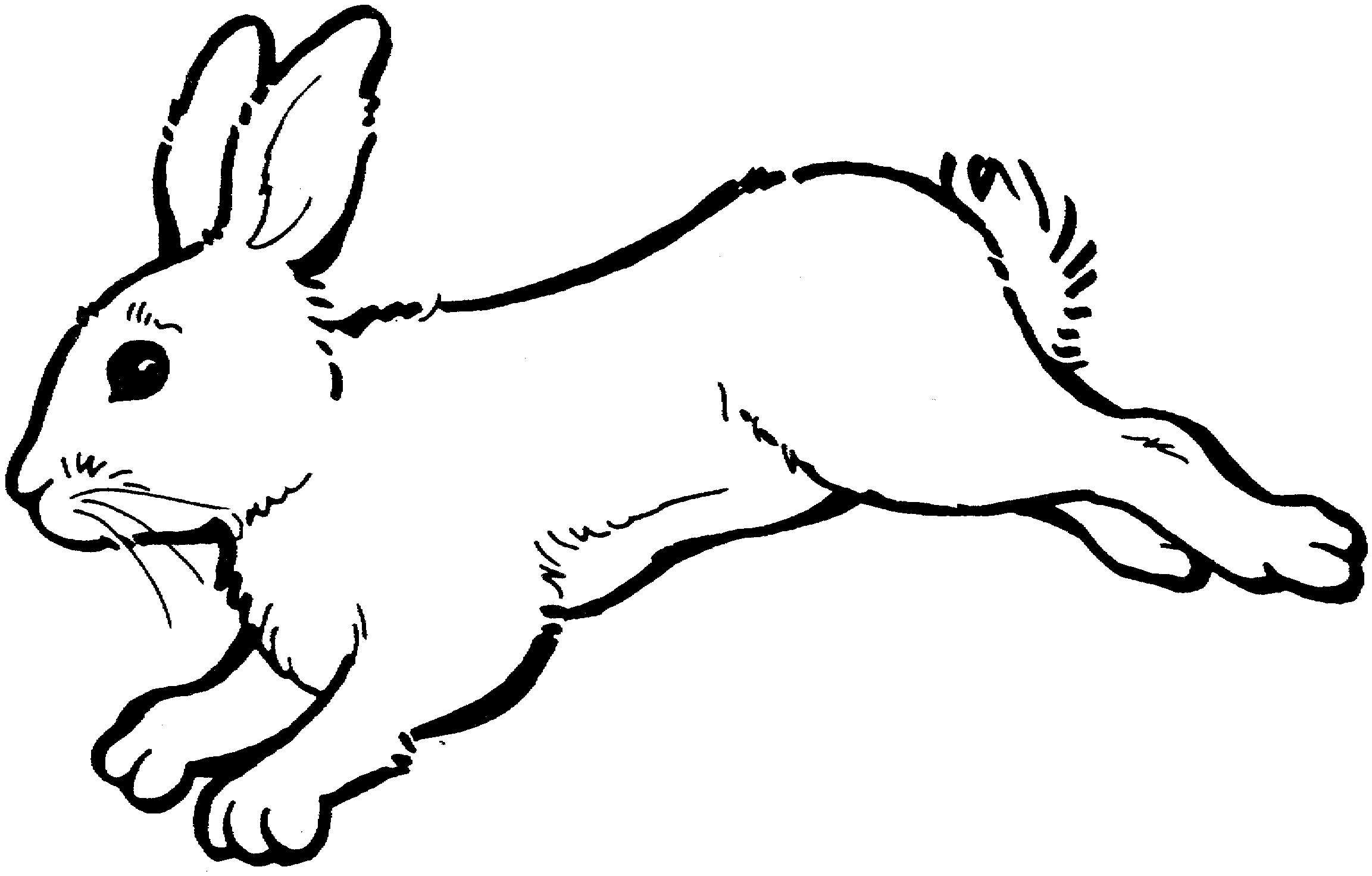 Rabbit Bunny Black And White Images Clipart