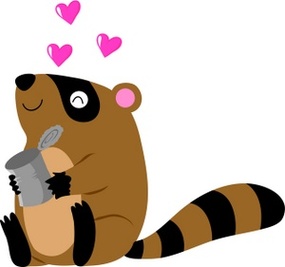 Raccoon To Use Resource Free Download Clipart