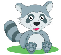 Free Raccoon Pictures Graphics Illustrations Png Images Clipart