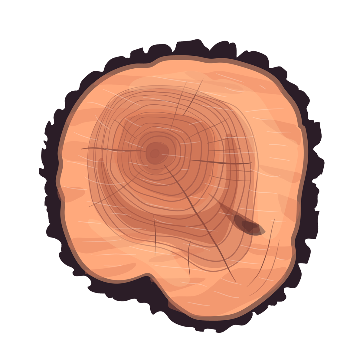Wheel Eucalyptus Stump Tree Wood Trunk Clipart