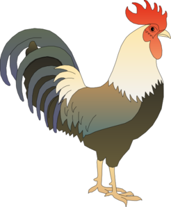 Morning Rooster Kid Download Png Clipart