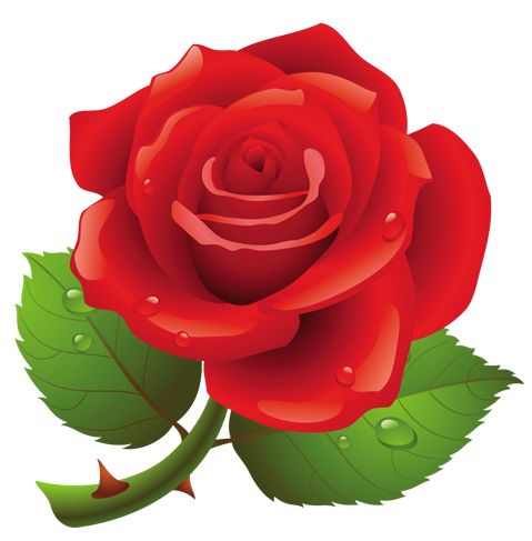 Roses Red Rose Cute Png Image Clipart