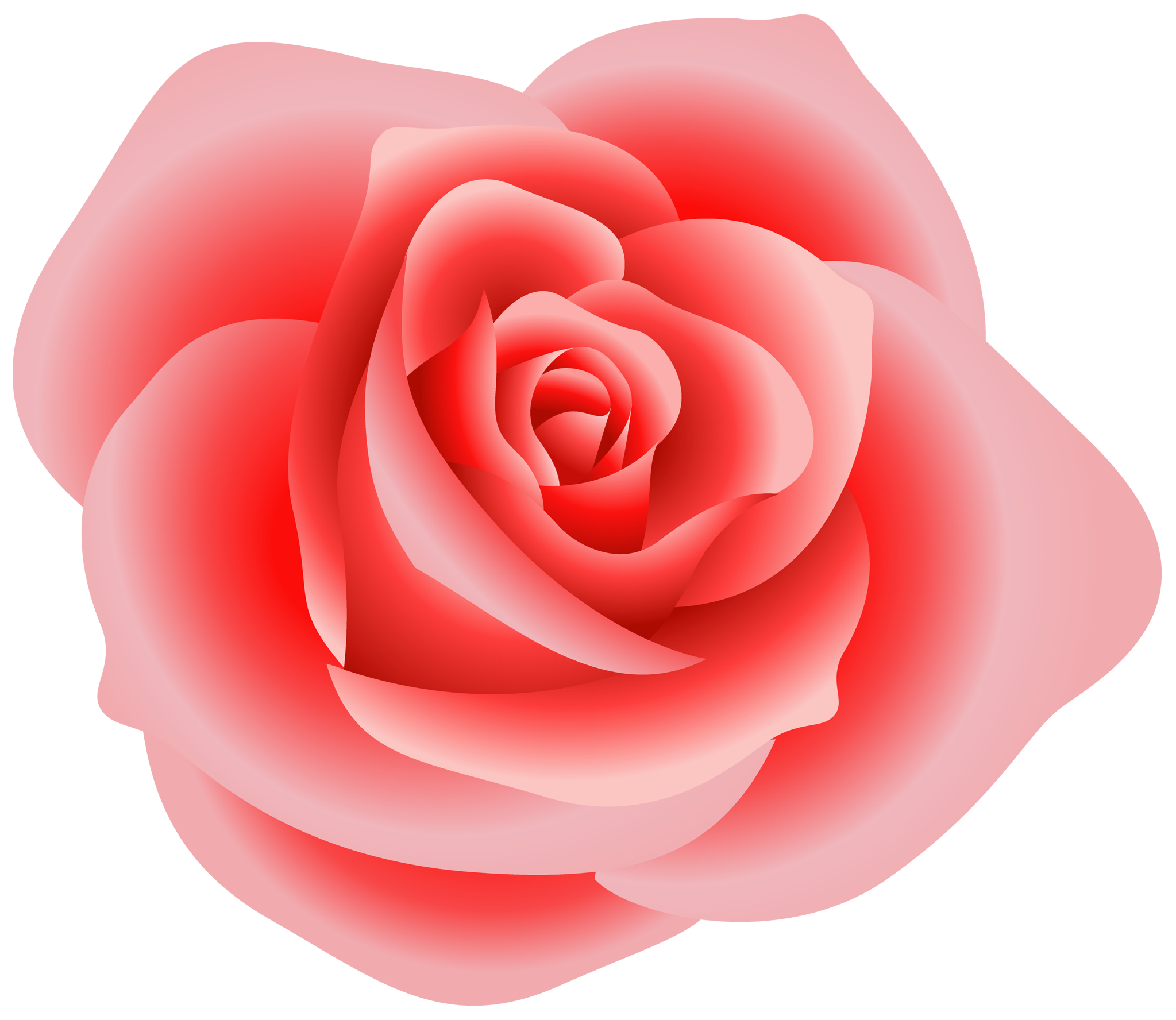 Roses Rose Vector Images Hd Photos Clipart
