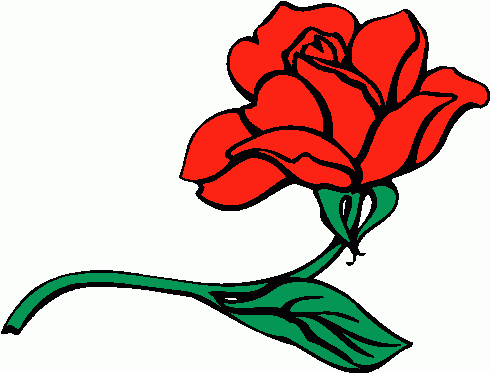 Roses Rose Images Transparent Image Clipart