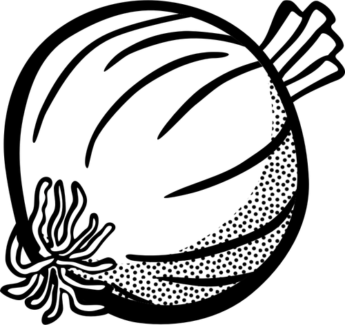 Image Of Onion In Black And White Clipart