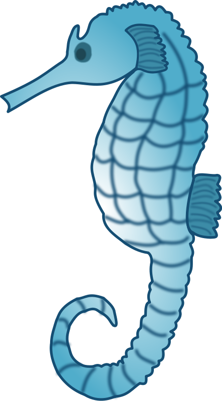 Seahorse To Use Hd Photo Clipart