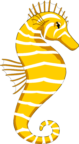 Seahorse Png Image Clipart