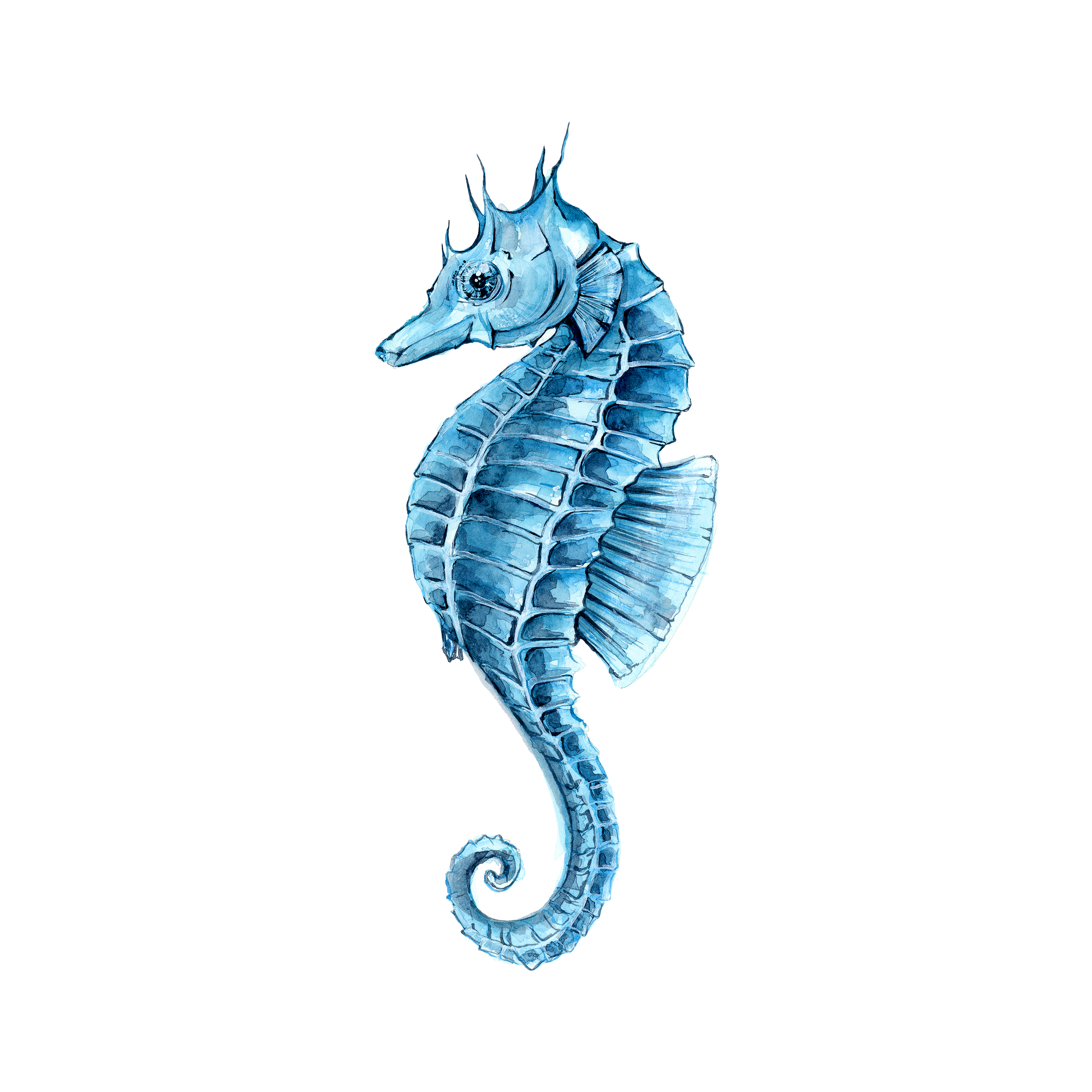 Hippocampus Seahorse Watercolor Green Painting Drawing Clipart