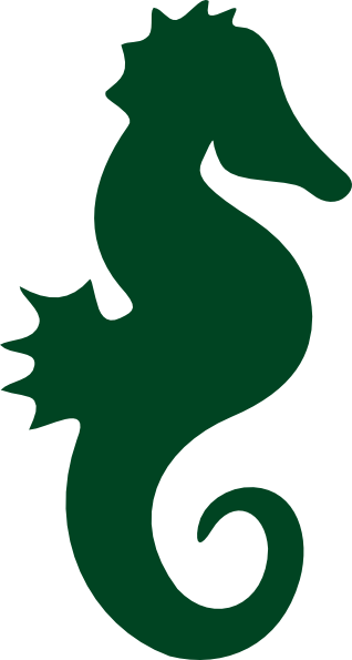 Featured image of post Cute Seahorse Clipart Png
