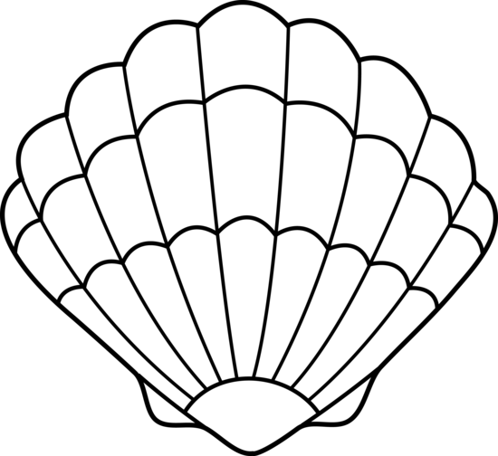 Seashell Black And White Images Download Png Clipart