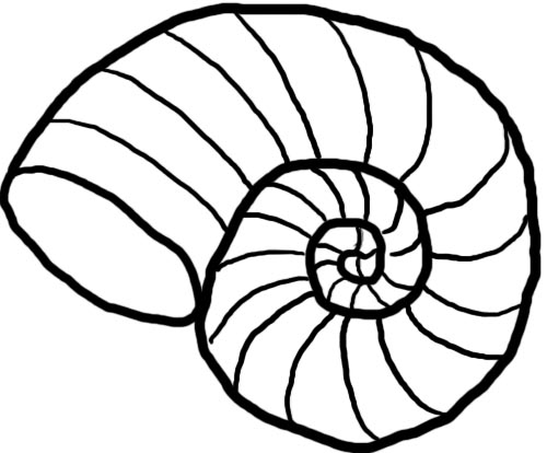 Seashell Shell Black And White Image Clipart