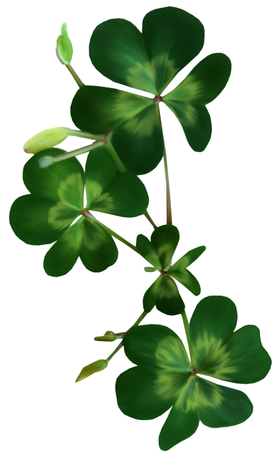 Shamrock Clover Patrick'S Saint Day HQ Image Free PNG Clipart