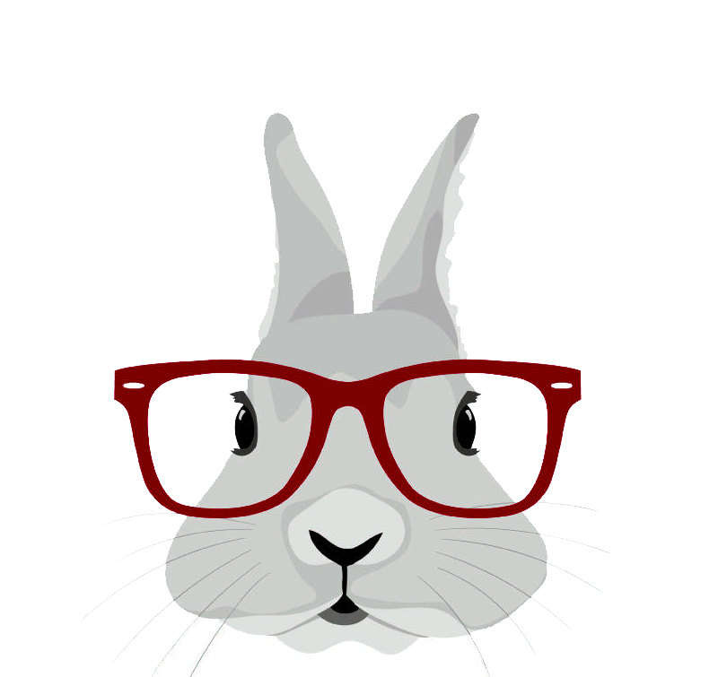 Wearing Gift T-Shirt Hipster Rabbit Easter Bunny Clipart