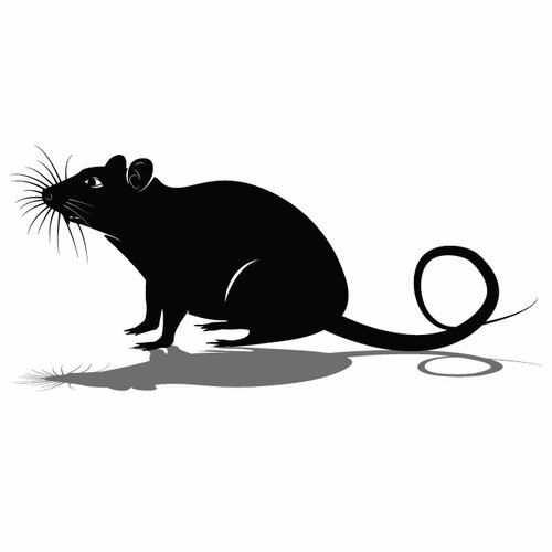 Rat Mouse Silhouette Clipart
