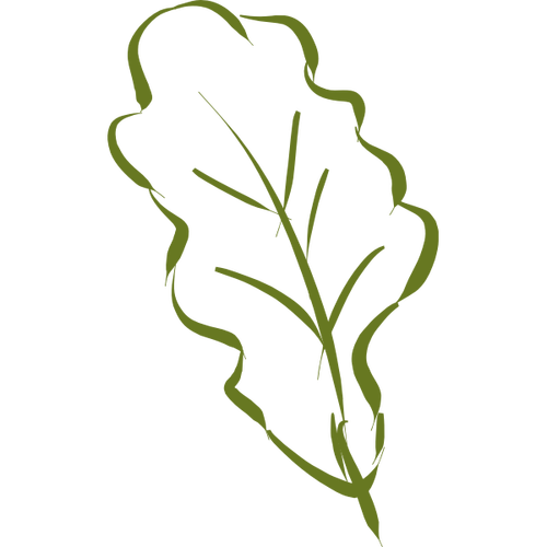 Oak Leaf Silhouette Sketch Clipart