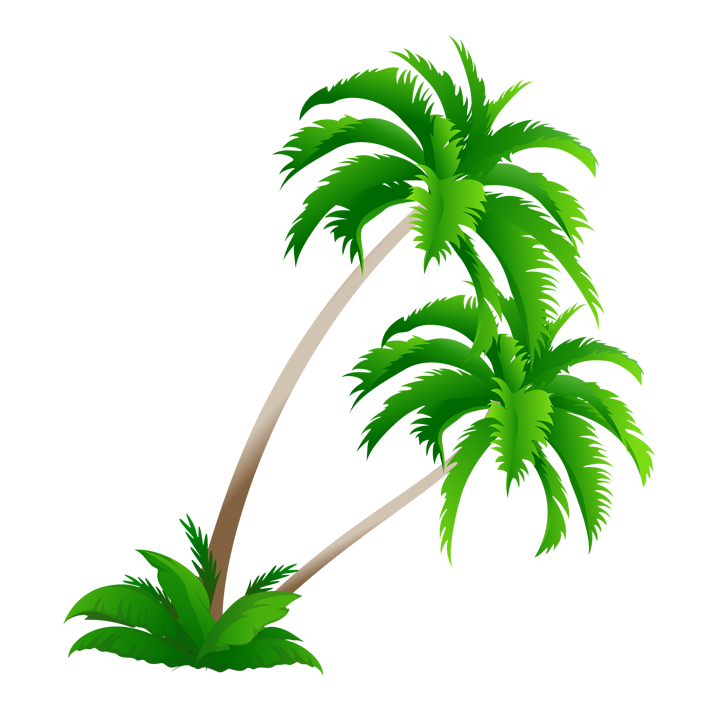 Arecaceae Coconut Material Tree Download Free Image Clipart